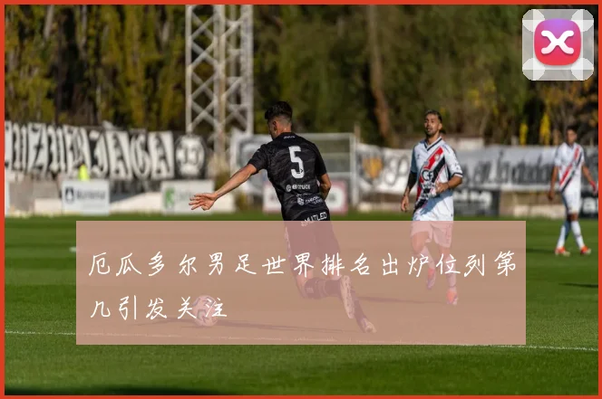 厄瓜多尔男足世界排名出炉位列第几引发关注